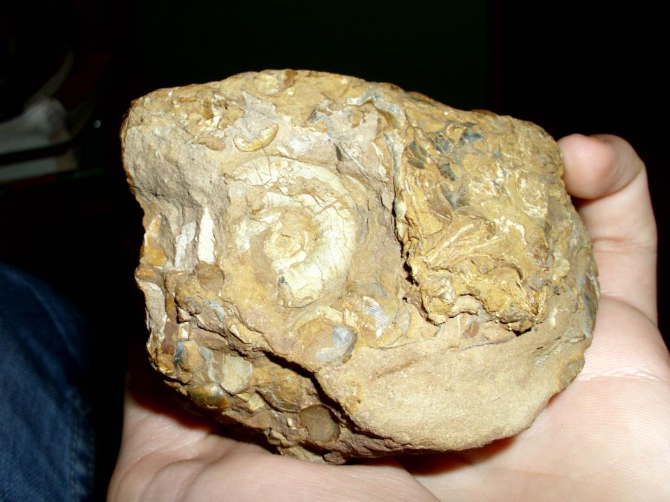 Zlepieniec