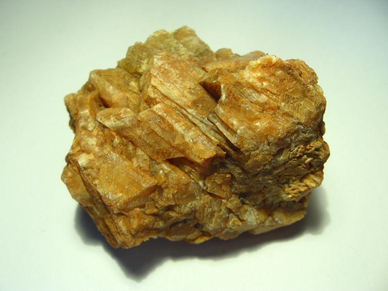 kalcyt