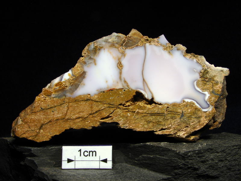 Chalcedon Czechy