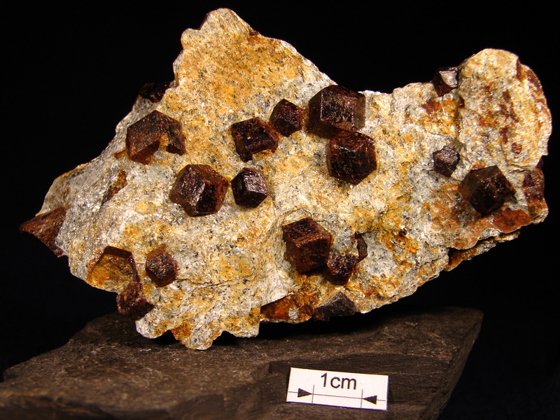 Alamandyn Norwegia