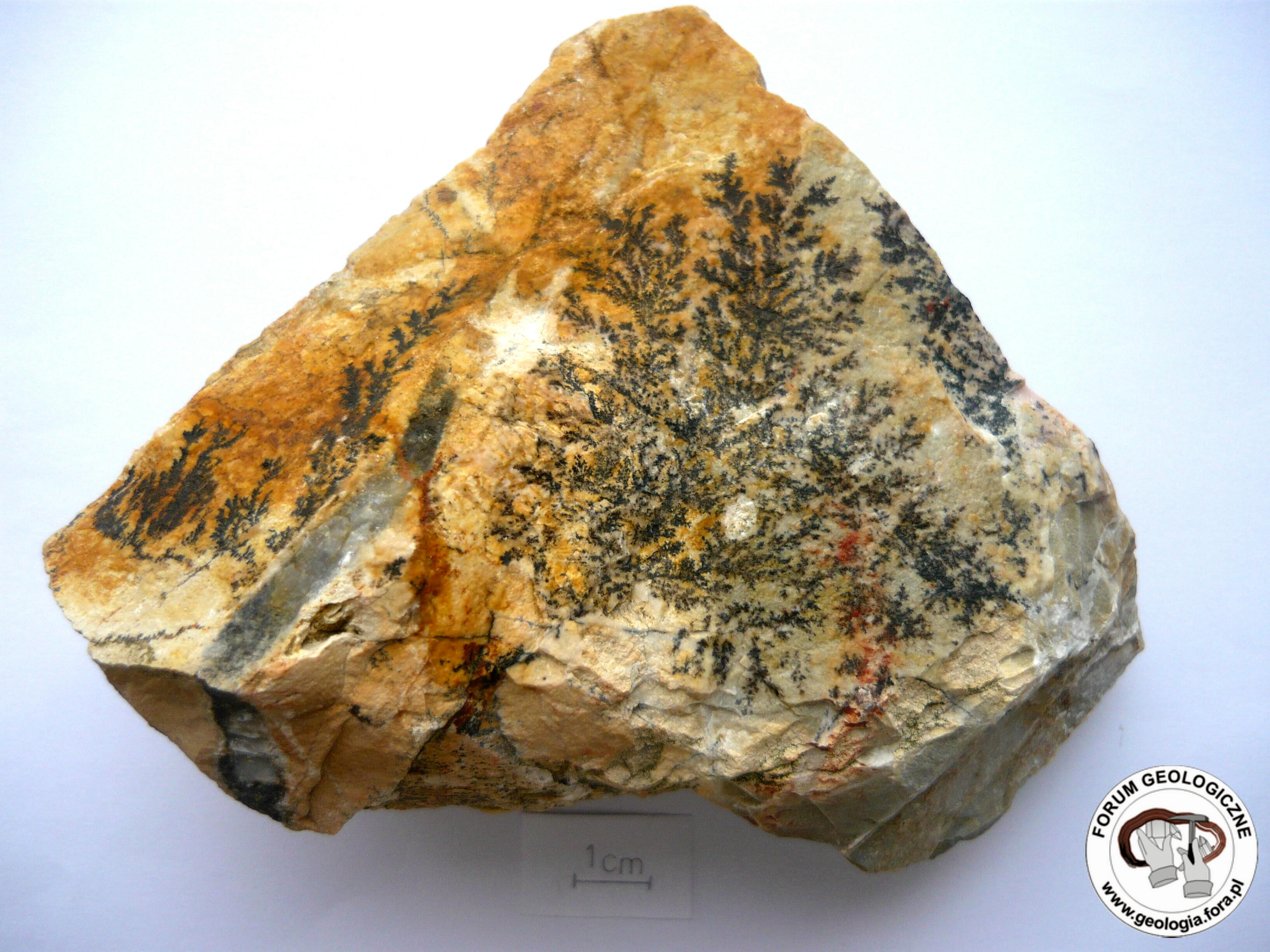 Dendryty Manganowe
