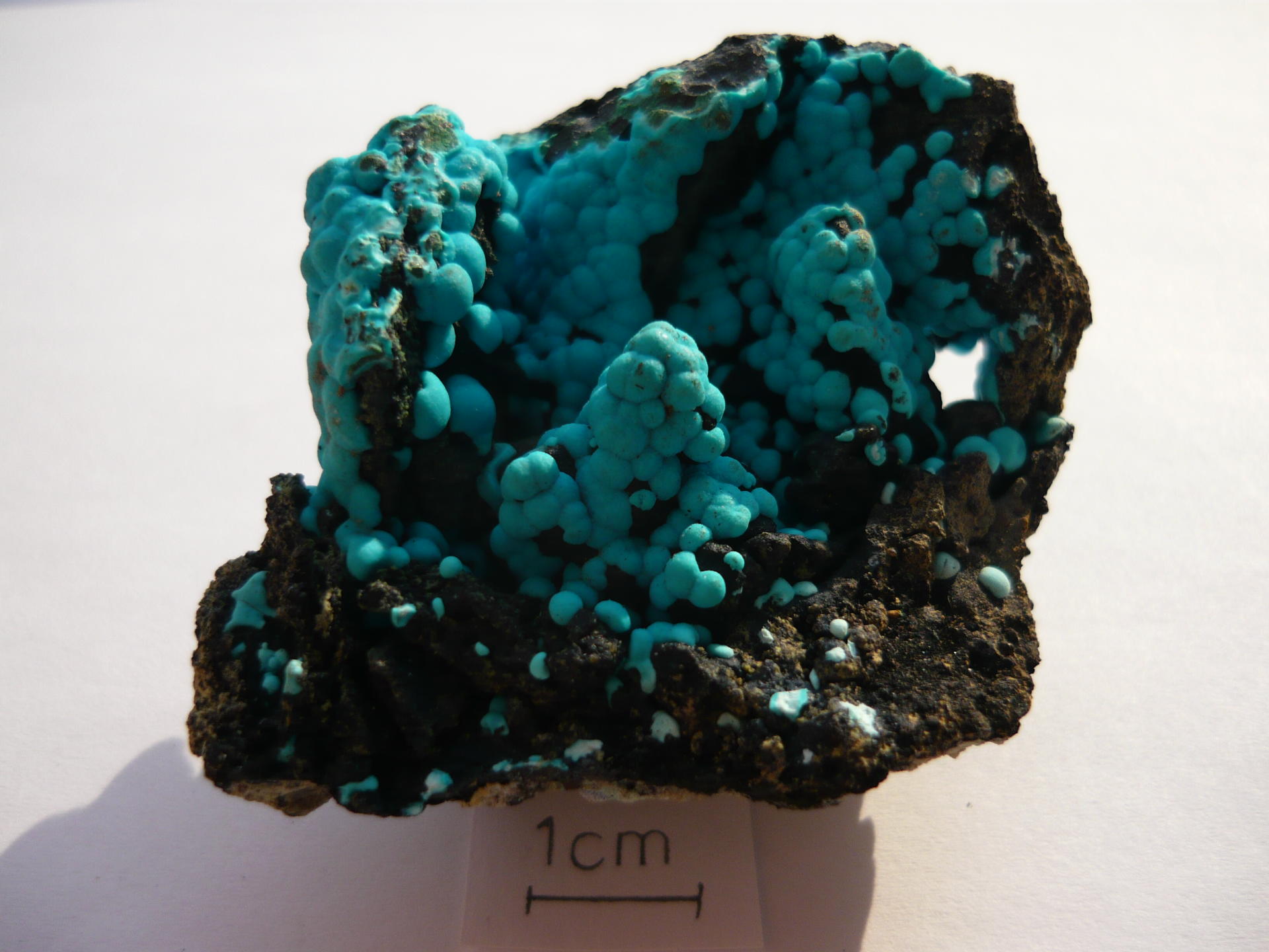 Chryzokola