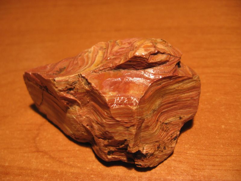 opal drzewny