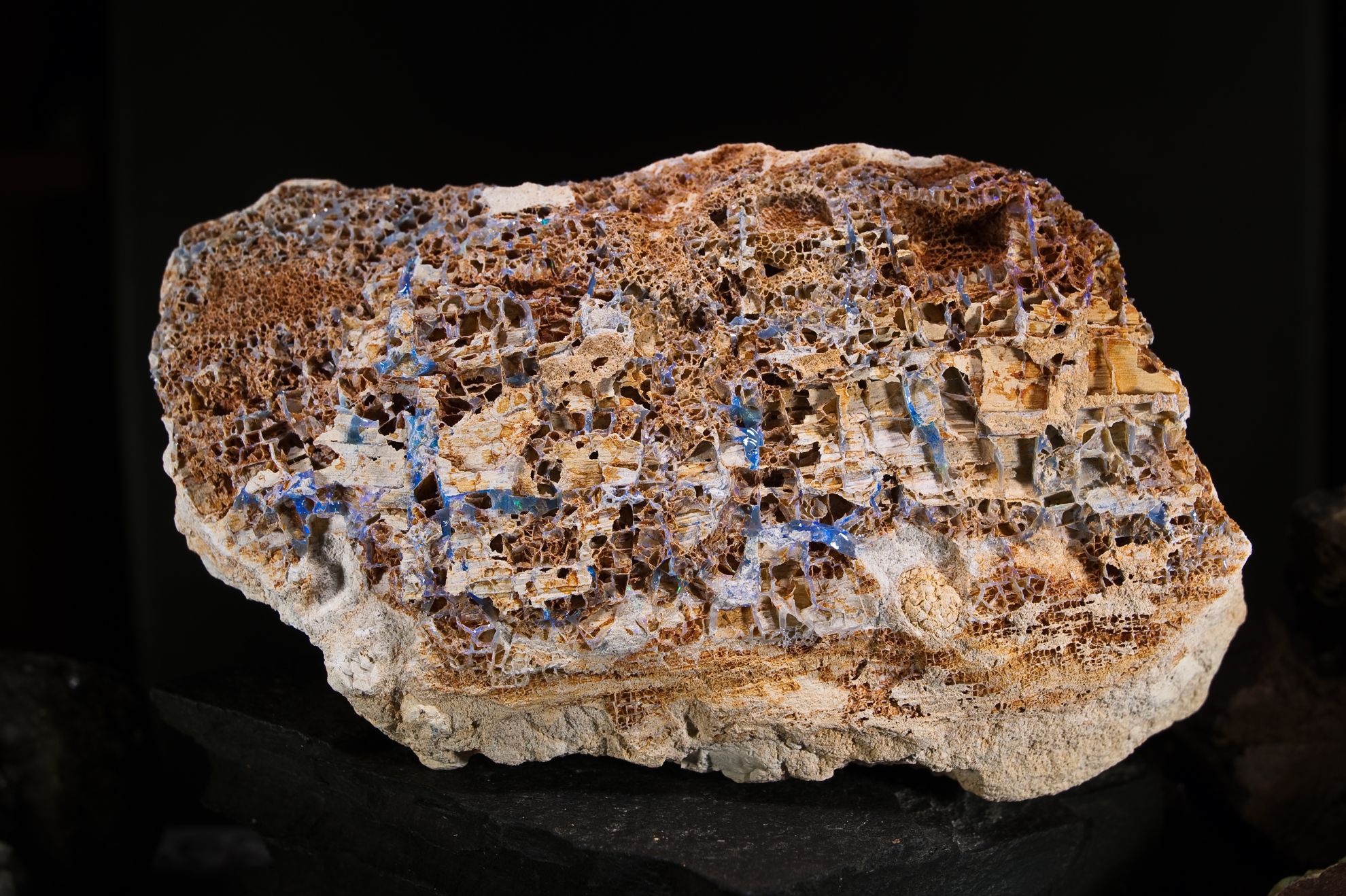 Opal Australia