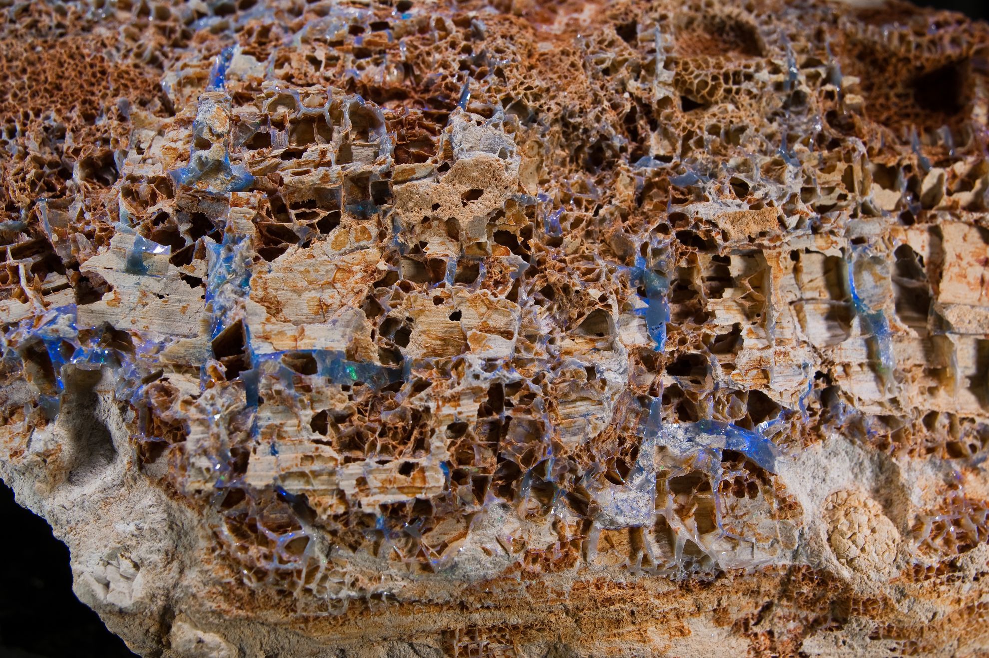Opal Australia