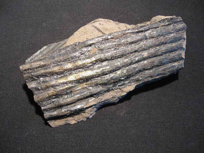 Spirytyzowana sigillaria
