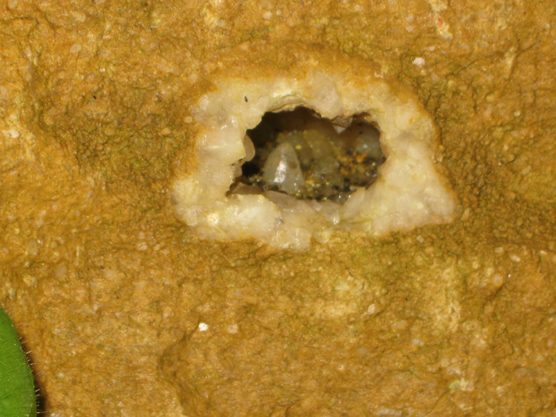 Otmice