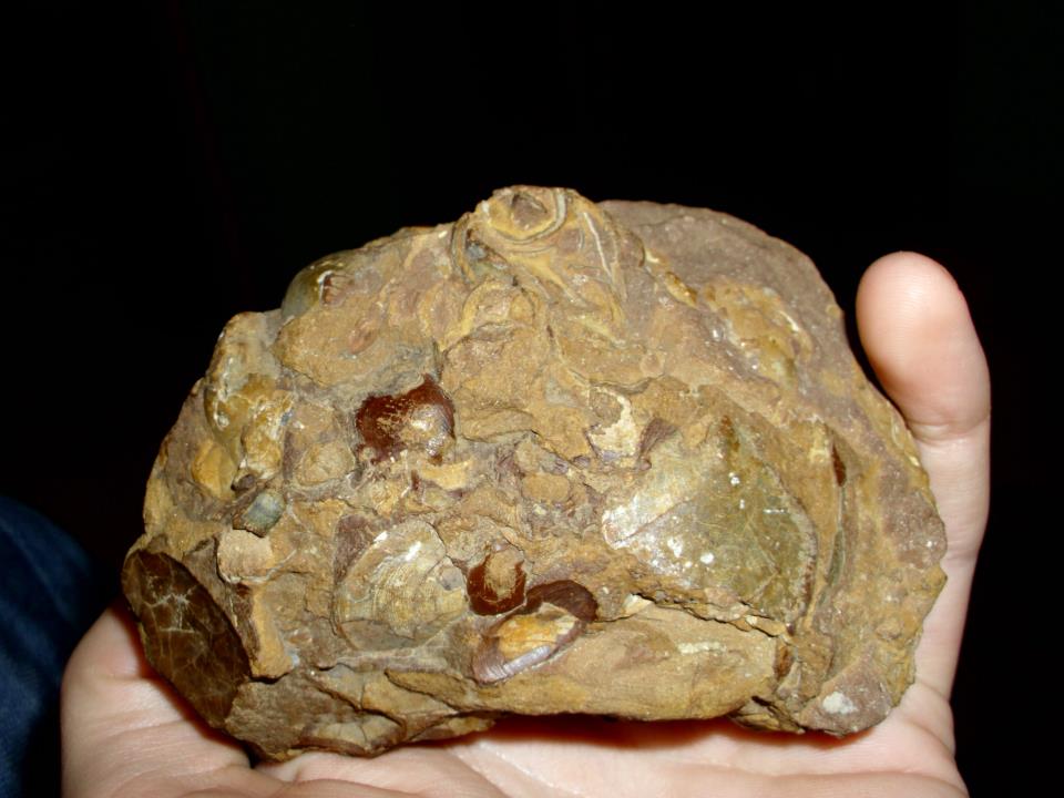 Zlepieniec