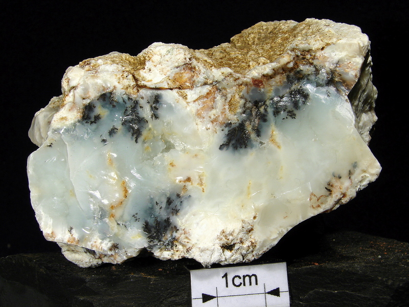 Opal mszysty Czechy
